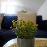 Appartement Smoljan *